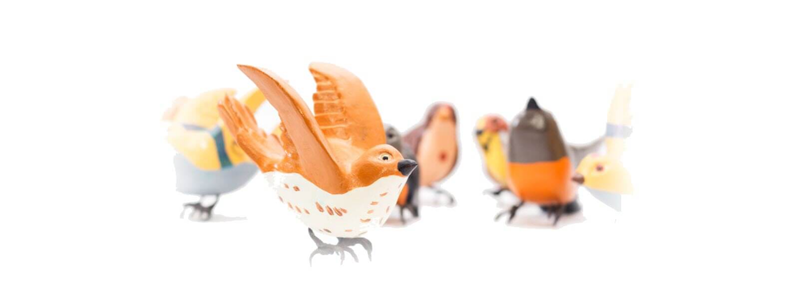 birds-4-fuzzy-1600x600