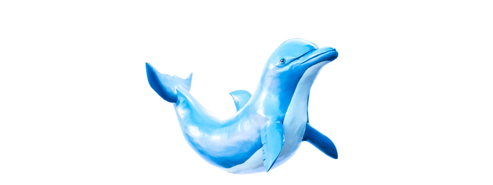 dolphin-5-1600x600