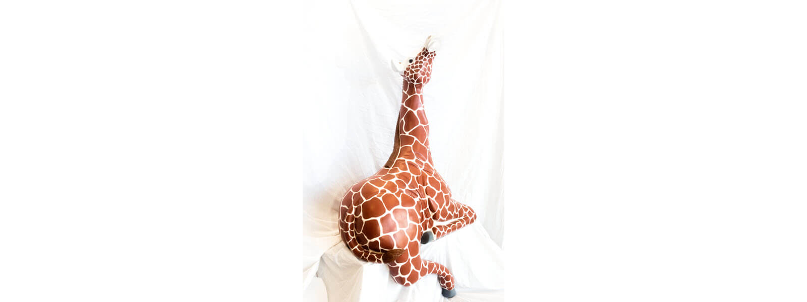giraffe-5-1600x600