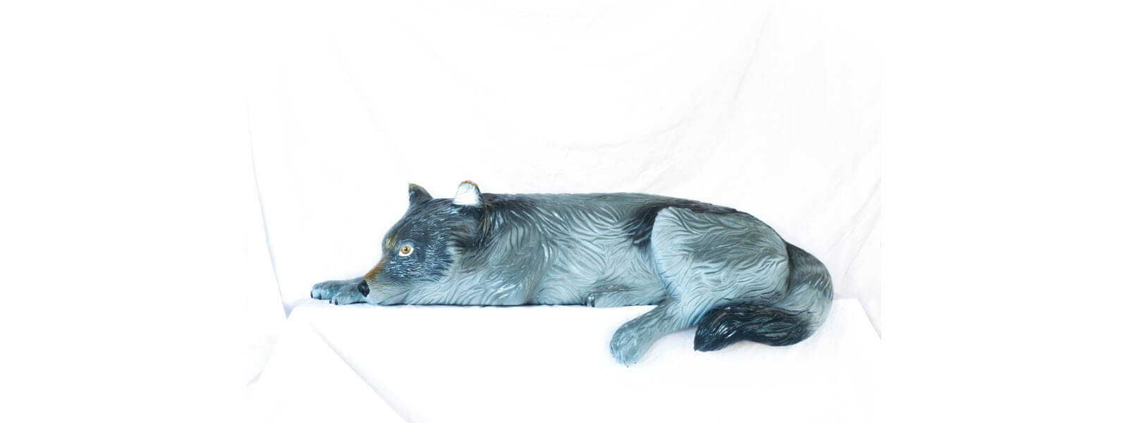 grey-wolf-4-1600x600