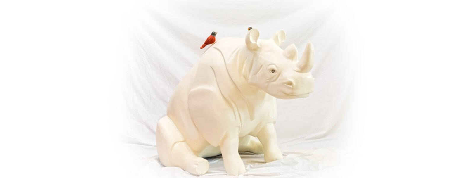 rhino-5-900sq-wide-1600x600